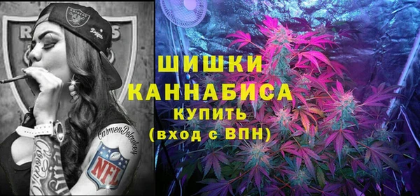 2c-b Вяземский